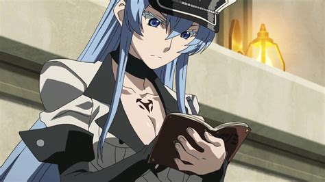 Akame Esdeath Porn Videos 